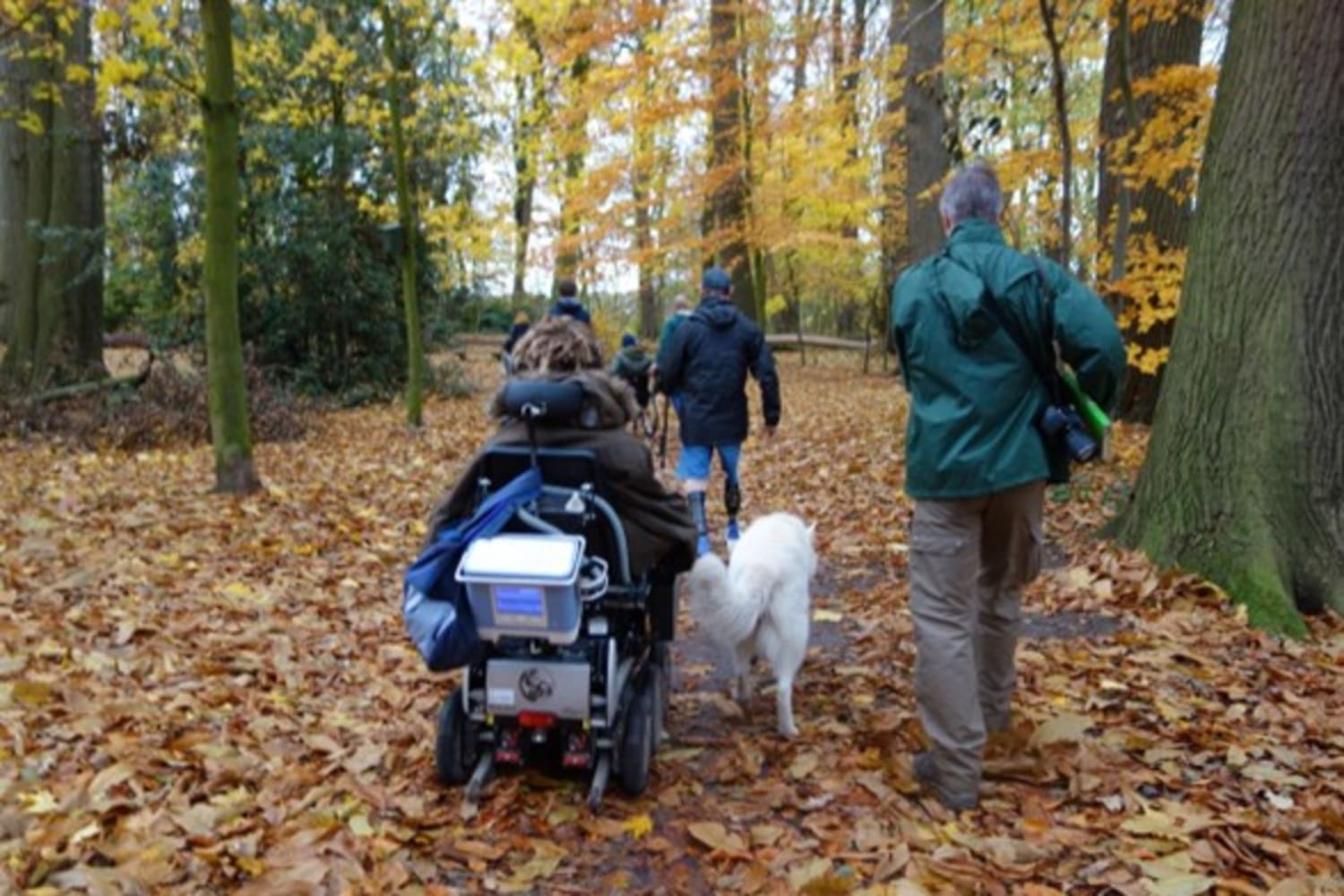 Parkbos Gent: revalideren in het bos