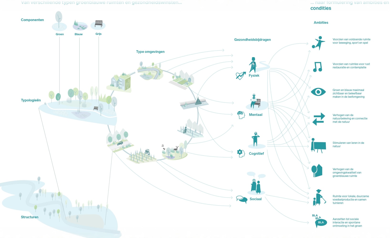 infographic gezondheidsbijdragen groenblauw