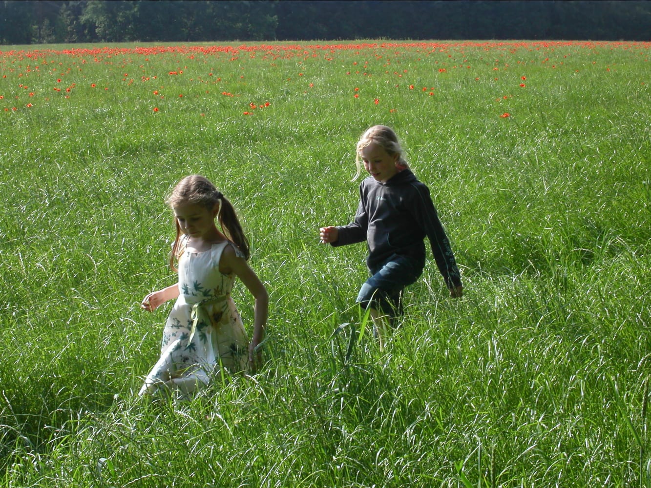 kinderen lopend door gras