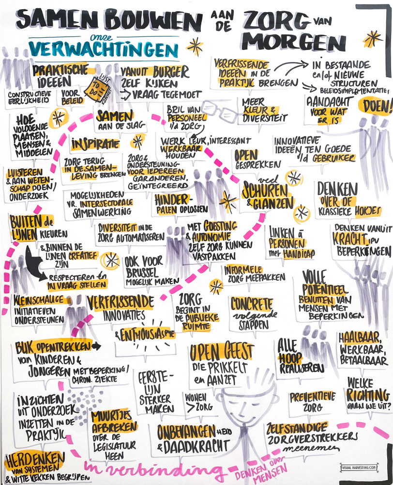 Visual Harvesting ToekomstZorg verwachtingen