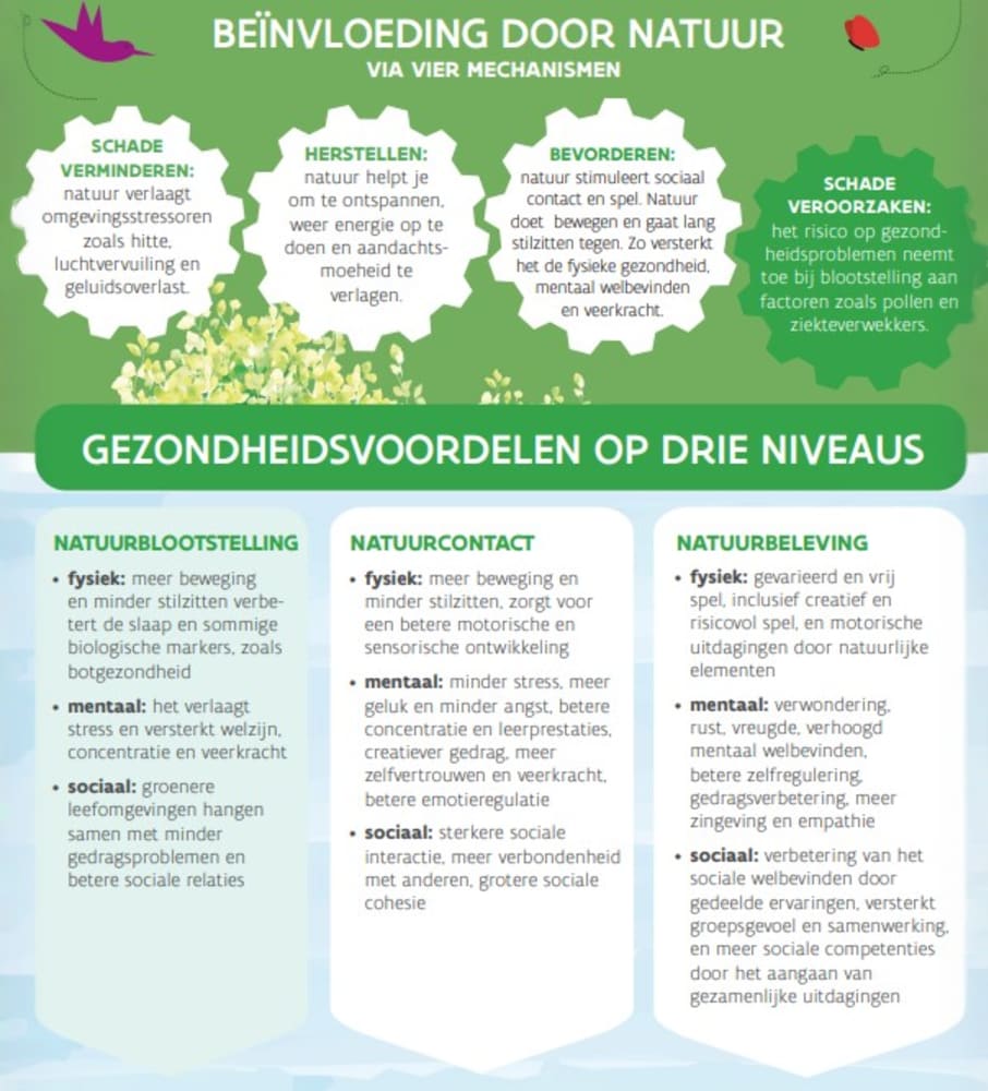 GPR Figuur fragment factsheet Natuurverbondenheid kinderen PONenG