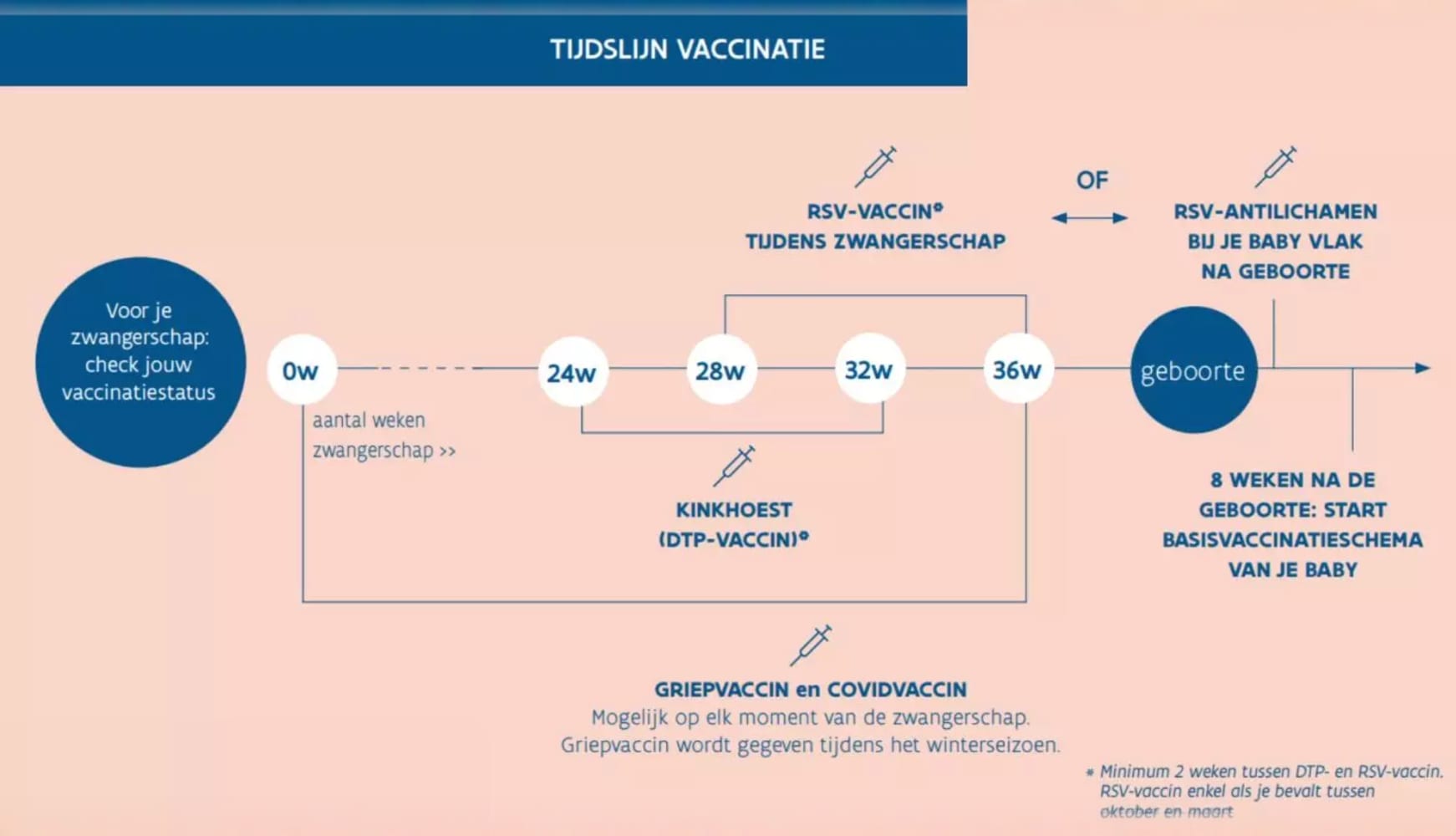 Vaccineren - Tijdlijn vaccinatie zwangerschap