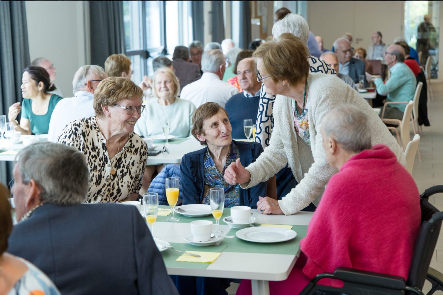 80-jarigenfeest Terkoest
