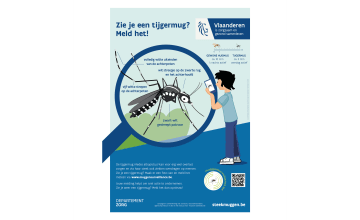 Affiche Zie je een tijgermug? Meld het!