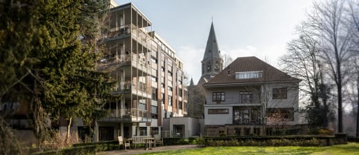 wzc korenbloem