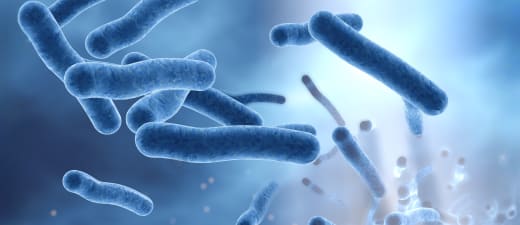 Legionellabacterie microscopisch