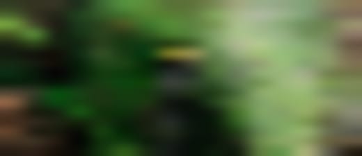 Water dat uit een natuurlijke bron in het bos komt