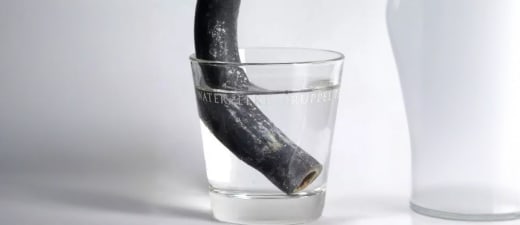 Loden buis in een glas water