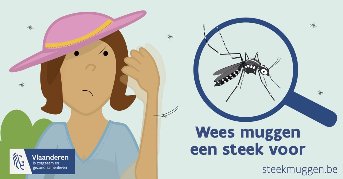Campagnebeeld steekmuggen.be overlast tijgermug