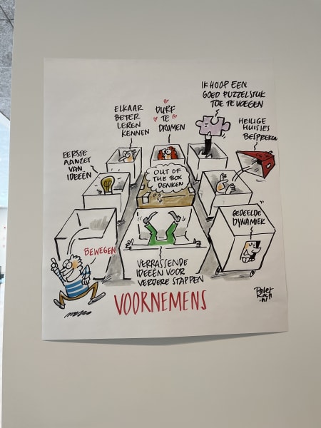 cartoon over voornemens
