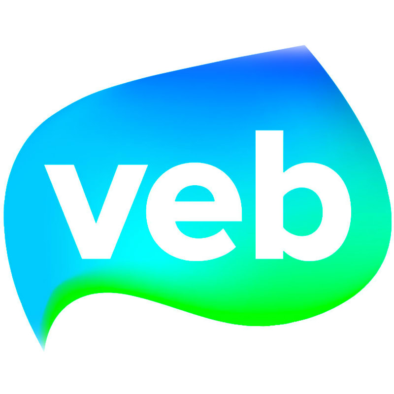 logo VEB