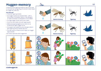 Memory campagne steekmuggen