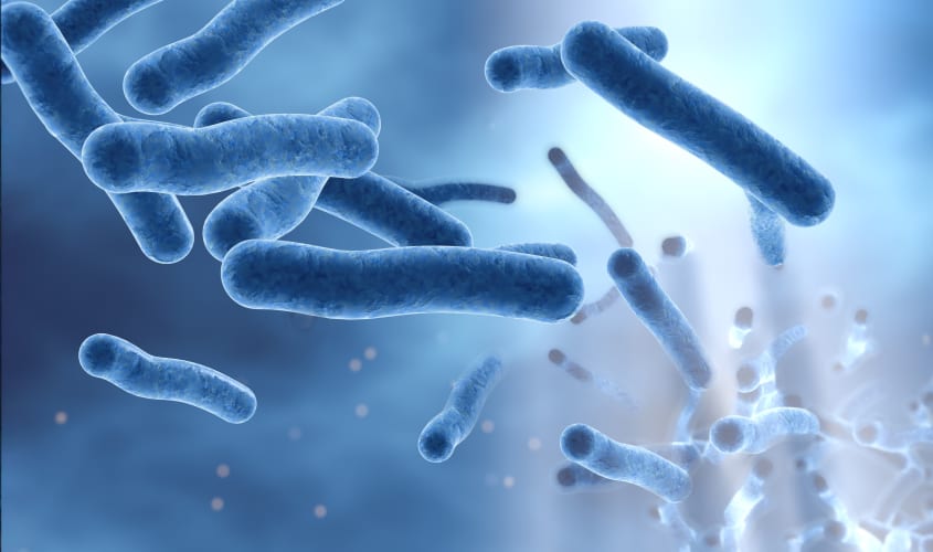 Legionellabacterie microscopisch