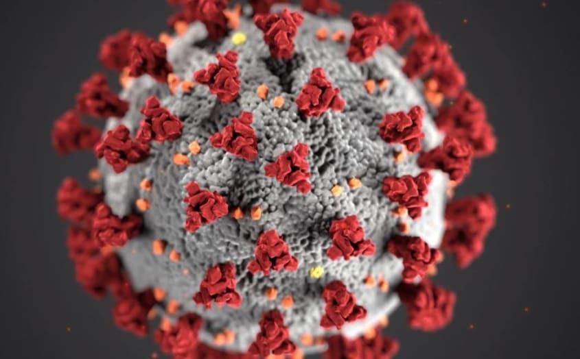 Coronavirus